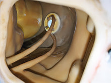 Load image into Gallery viewer, 2008 Aprilia RSVR 1000 Factory Fuel Gas Petrol Tank 106207