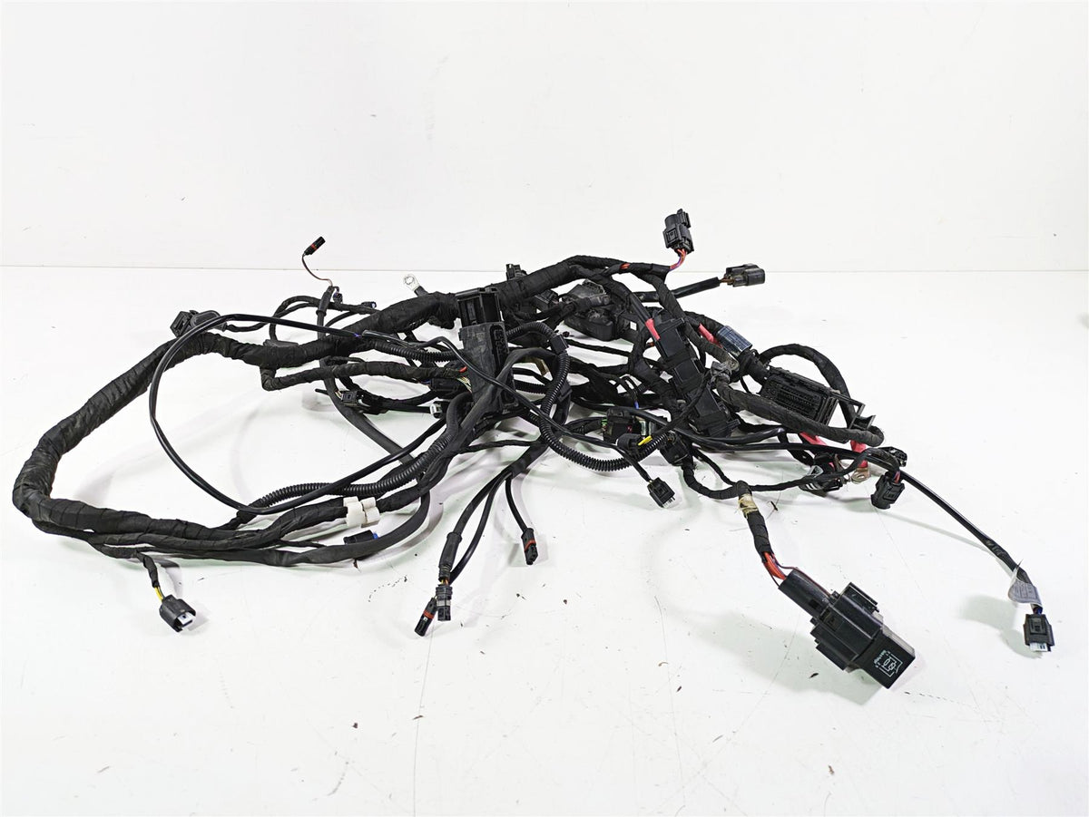 2018 BMW R1200GS GSW K50 Main & Engine Wiring Harness Abs 61118394905  8544469