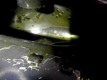 Load image into Gallery viewer, 2010 Harley FXDF Dyna Fat Bob Fuel Gas Petrol Tank - Dented 61586-04B | Mototech271