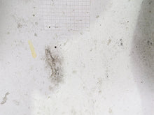 Load image into Gallery viewer, 2019 Ducati Supersport 939 S Front Fender in White 564P6482A | Mototech271