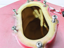 Load image into Gallery viewer, 2008 Ducati SBK 1098 S Fuel Gas Petrol Tank Reservoir 58611602A