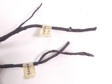 Load image into Gallery viewer, 2016 BMW R1200RS K54 Engine & Main ABS Wiring Harness Loom Set - Read 6111856212 | Mototech271