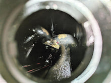 Load image into Gallery viewer, 2006 Harley Sportster XL883 Low Oil Tank Reservoir & Dipstick 62888-04