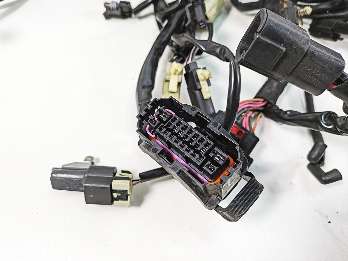 2018 Harley Touring FLHXSE CVO Street Glide Wiring Harness Loom -Read