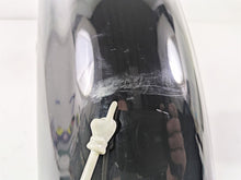 Load image into Gallery viewer, 2001 Harley Touring FLHX Street Glide Arlen Ness Front Fender 06-741