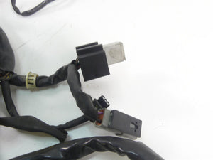 2003 Harley Dyna 100TH FXDL Low Rider Main Wiring Harness Loom - Read 69558-01