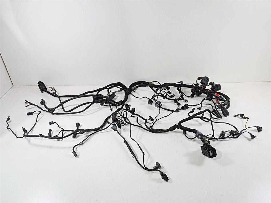 2016 BMW S1000XR K49 Engine & Main Wiring Harness - Read 12518545376 61118565232
