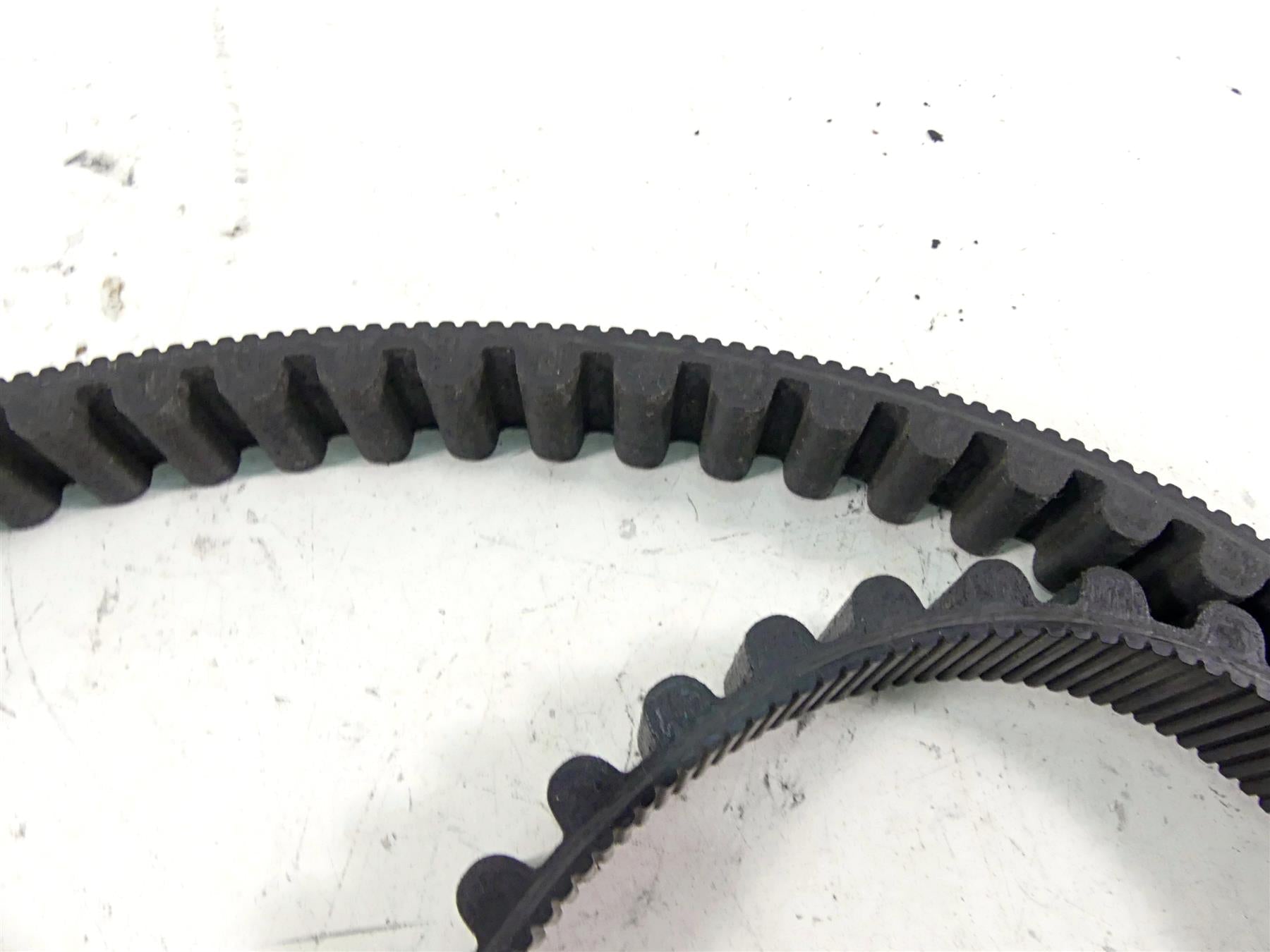 2013 Harley Softail FLSTFB Fat Boy Lo Rear Drive Belt 133T 24mm 40000001 {{ shop.shopifyCountryName }} - Mototech271