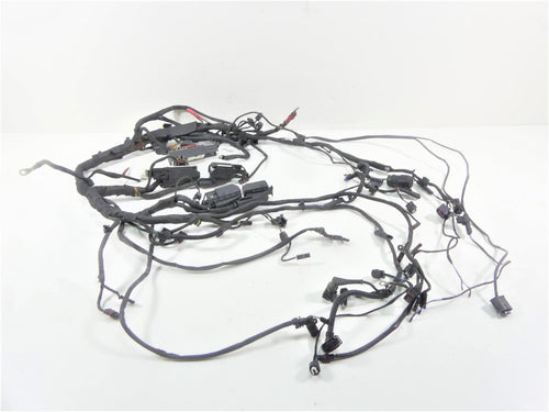 2013 BMW R1200GS K255 Adventure Main & Engine Wiring Harness Esa 61117726669 | Mototech271