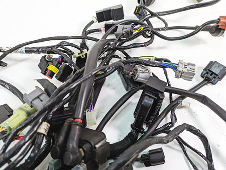 2017 Mv Agusta Dragster 800 Wiring Harness Loom -No Cuts 8000B9705 {{ shop.shopifyCountryName }} - Mototech271