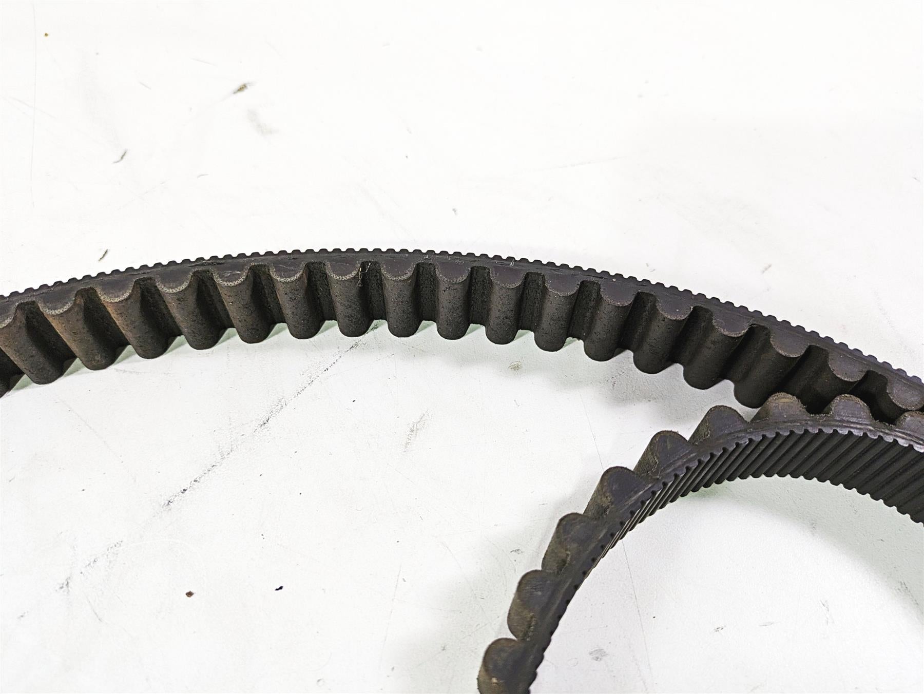 2013 Harley VRSCDX Night Rod Sp Rear Drive Belt 151T 40144-07 {{ shop.shopifyCountryName }} - Mototech271