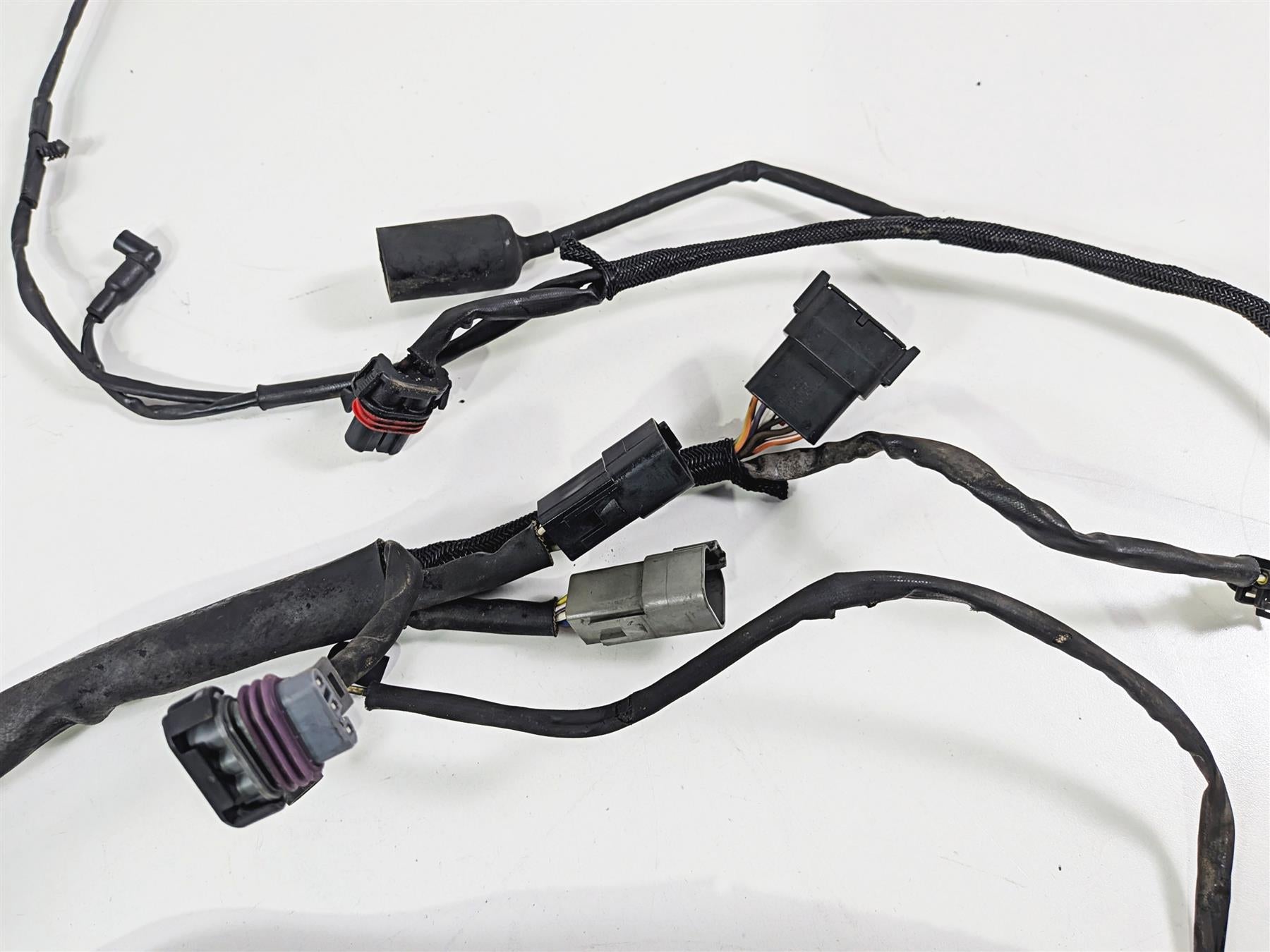 2006 Harley Sportster XL1200 C Main Wiring Harness Loom - Read 70139-06 {{ shop.shopifyCountryName }} - Mototech271