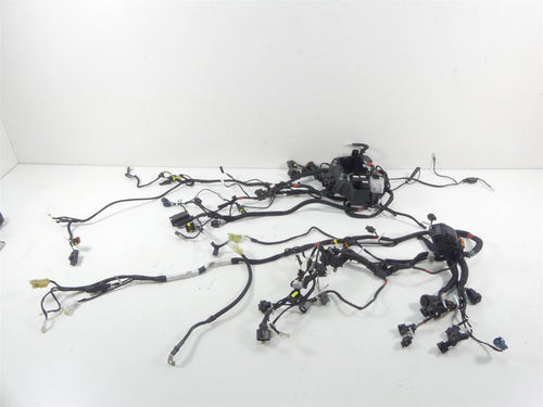 2018 Ducati Panigale 1100 V4 S Wiring Harness Loom Set 5101C371E 5101C381E | Mototech271