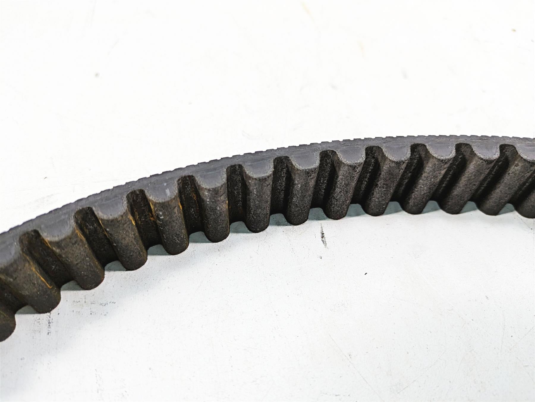 2006 Harley Sportster XL1200 Rear Drive Belt 1-1/8" 137T 40571-04B {{ shop.shopifyCountryName }} - Mototech271