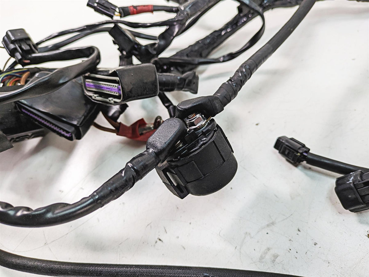 2011 Triumph America Main Wiring Harness Loom - No Cuts T2507611 {{ shop.shopifyCountryName }} - Mototech271
