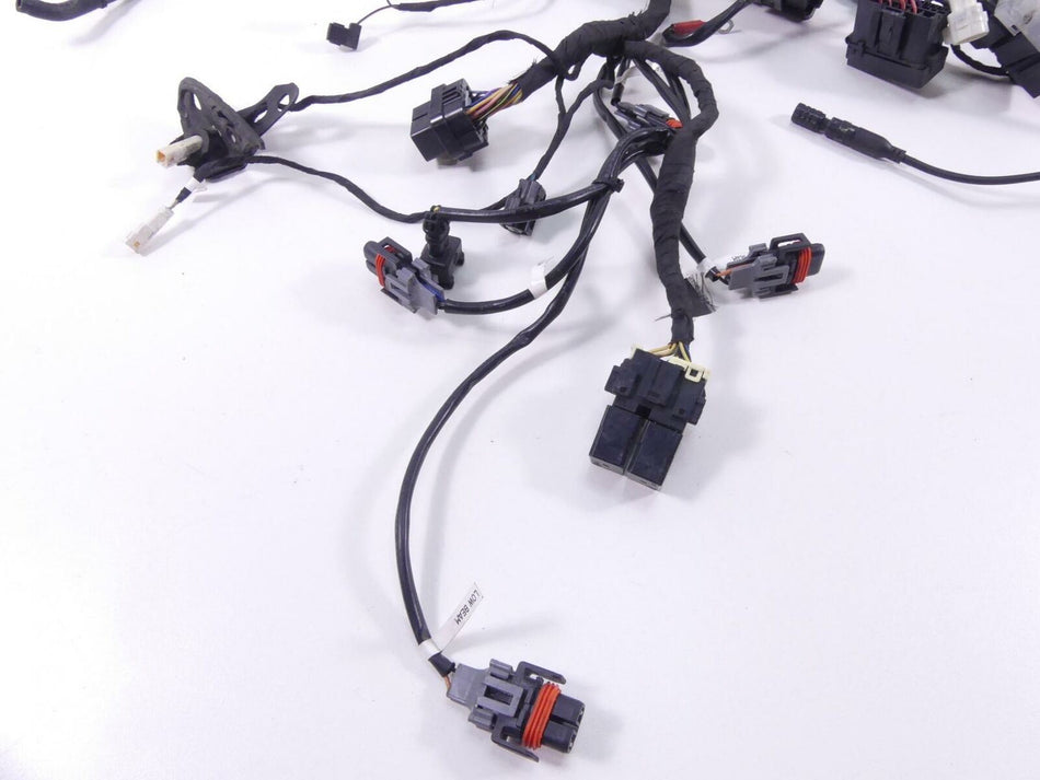 2014 Ducati 899 Panigale Wiring Harness Loom - No Cuts 51019671A {{ shop.shopifyCountryName }} - Mototech271