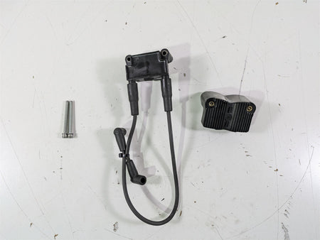 2015 Harley FXDL Dyna Low Rider Delphi Ignition Coil Wires Plugs 31696-07A {{ shop.shopifyCountryName }} - Mototech271
