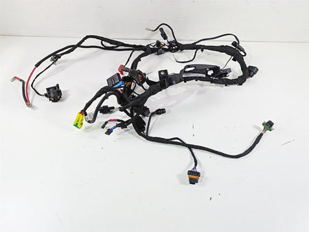 2024 Harley Sportster RH975 S Main Wiring Harness Loom - READ 69203115A {{ shop.shopifyCountryName }} - Mototech271