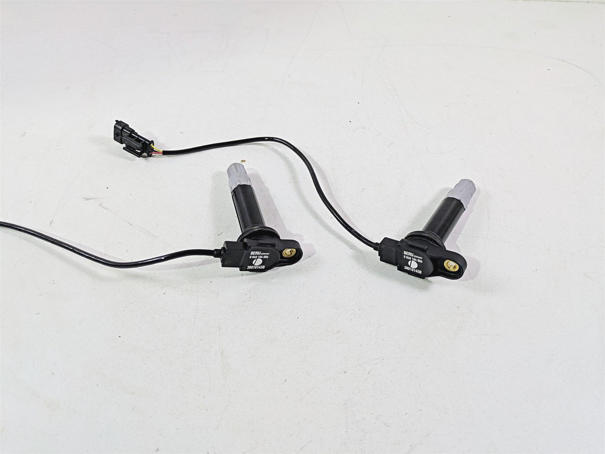 2013 Ducati Hypermotard 821 SP Beru Ignition Coil Set 38010145B {{ shop.shopifyCountryName }} - Mototech271