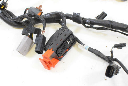 2013 Triumph Tiger 1215 Explorer XC Main Wiring Harness Loom - No Cuts T2503571 {{ shop.shopifyCountryName }} - Mototech271