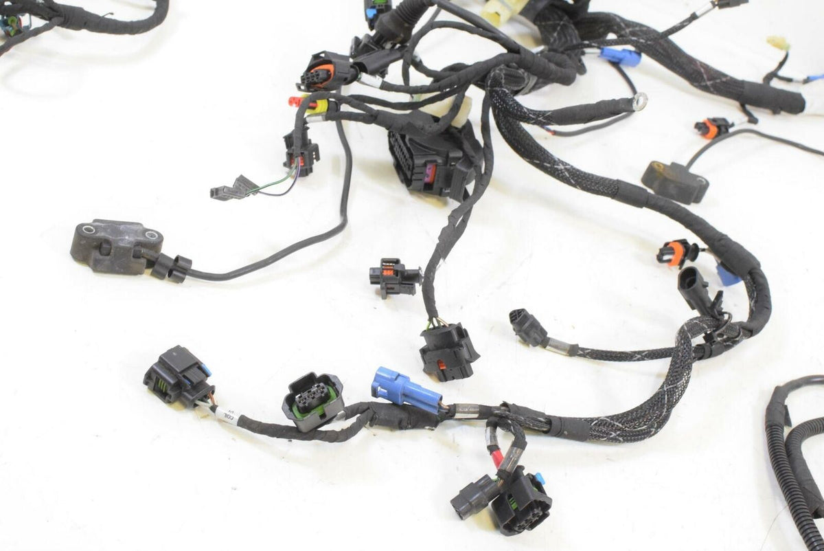 2017 Ducati Multistrada 1200 ABS Main Wiring Harness No Cuts 51019981C {{ shop.shopifyCountryName }} - Mototech271