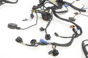 2017 Ducati Multistrada 1200 ABS Main Wiring Harness No Cuts 51019981C | Mototech271