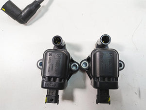 2020 Moto Guzzi V85 TT Adventure Eldor Ignition Coil Wires Plug Set 641901