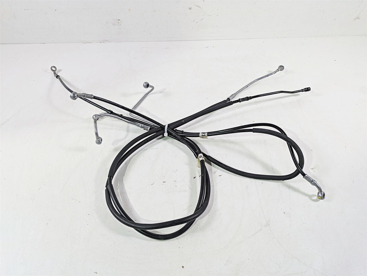 2022 Ducati Scrambler Desert Sled Front Rear Abs Brake Line Set 61811231A {{ shop.shopifyCountryName }} - Mototech271