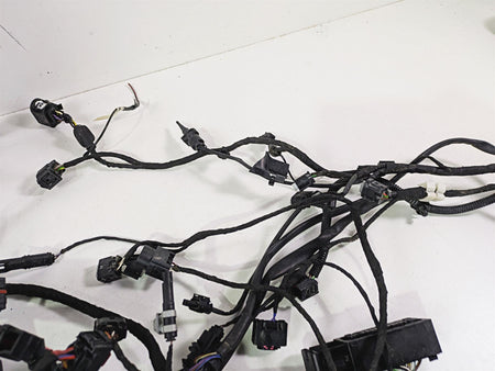 2017 BMW R1200 GS K50 Main & Engine Wiring Harness Abs Esa - Read 61118350519 {{ shop.shopifyCountryName }} - Mototech271