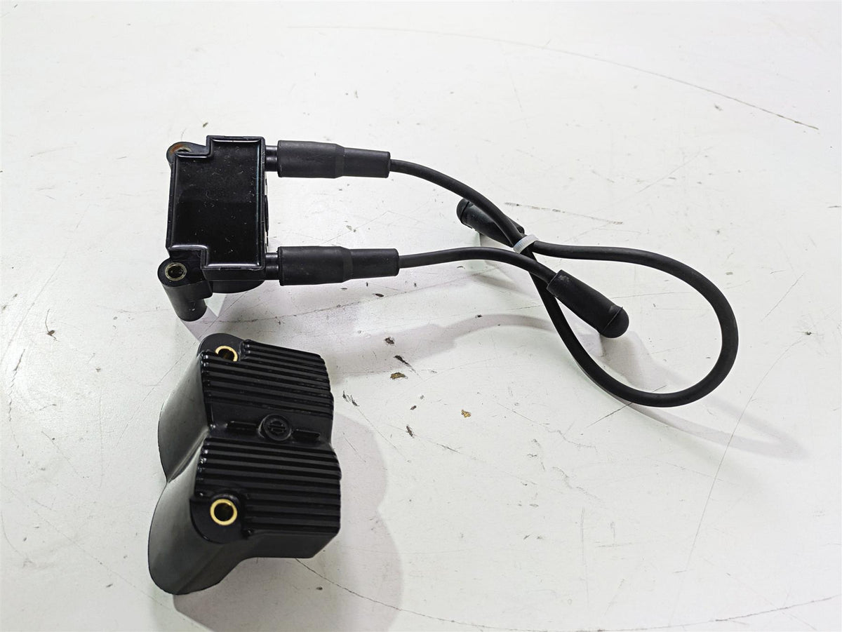 2015 Harley FXDL Dyna Low Rider Delphi Ignition Coil Wires Plugs 31696-07A {{ shop.shopifyCountryName }} - Mototech271