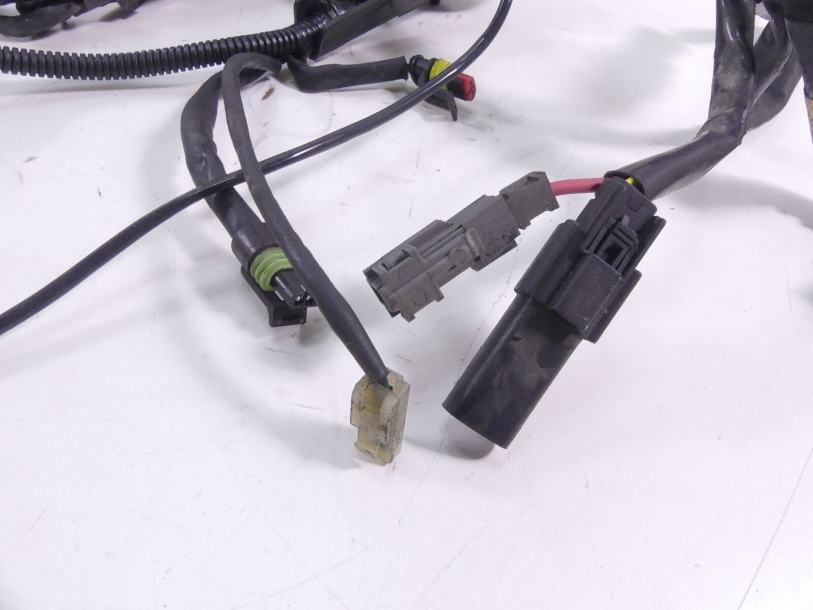 2009 Harley Sportster XR1200 Main & Engine Wiring Harness -Read 70225-08 70163-0 {{ shop.shopifyCountryName }} - Mototech271