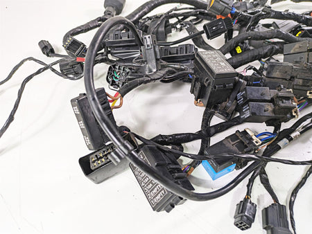 2015 Triumph Tiger Explorer XC Wiring Harness Loom - No Cuts T2501095 {{ shop.shopifyCountryName }} - Mototech271