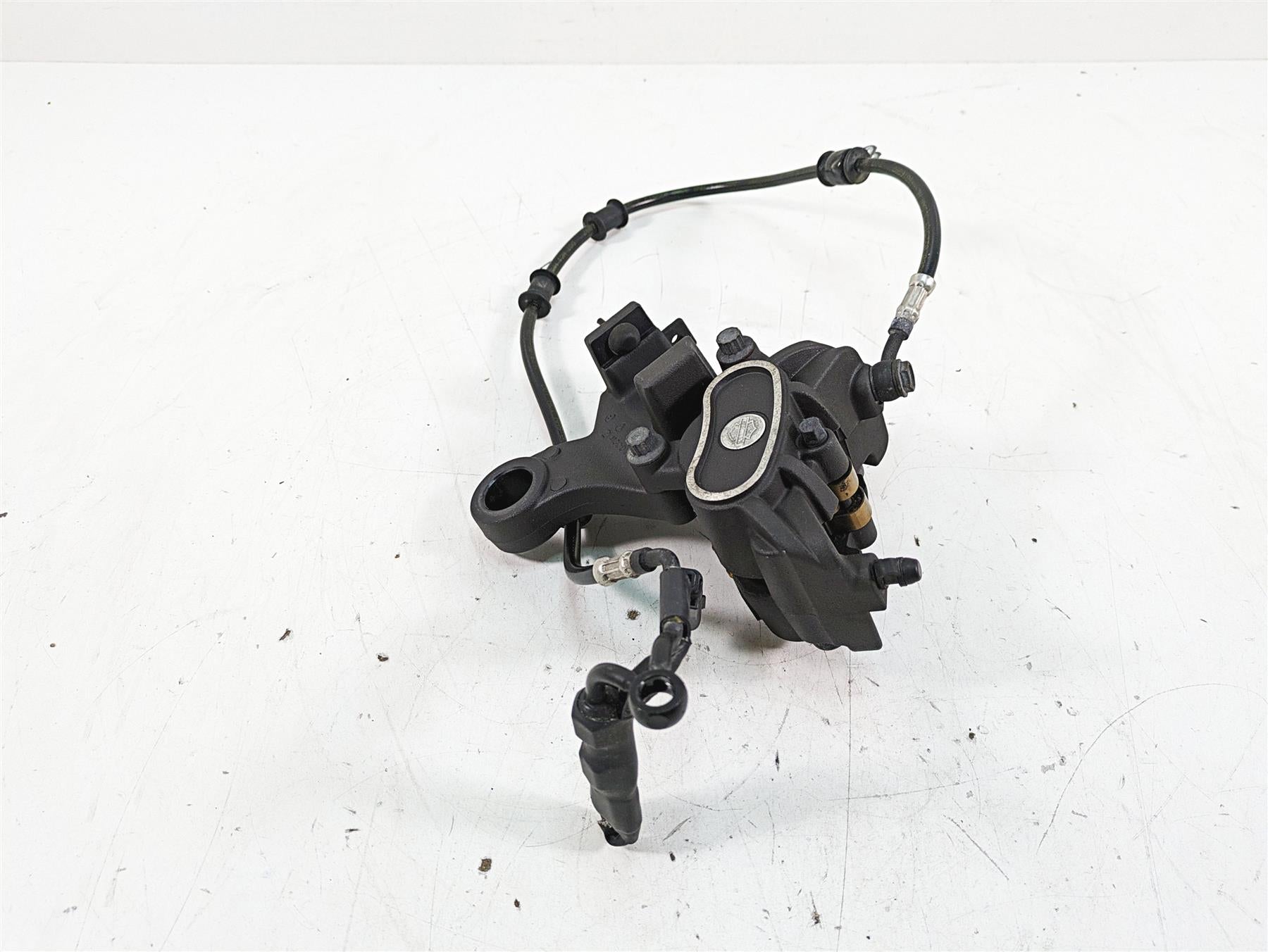 2019 Harley XL883N Sportster Iron Rear Brake Caliper & Bracket, Line 41300039 {{ shop.shopifyCountryName }} - Mototech271