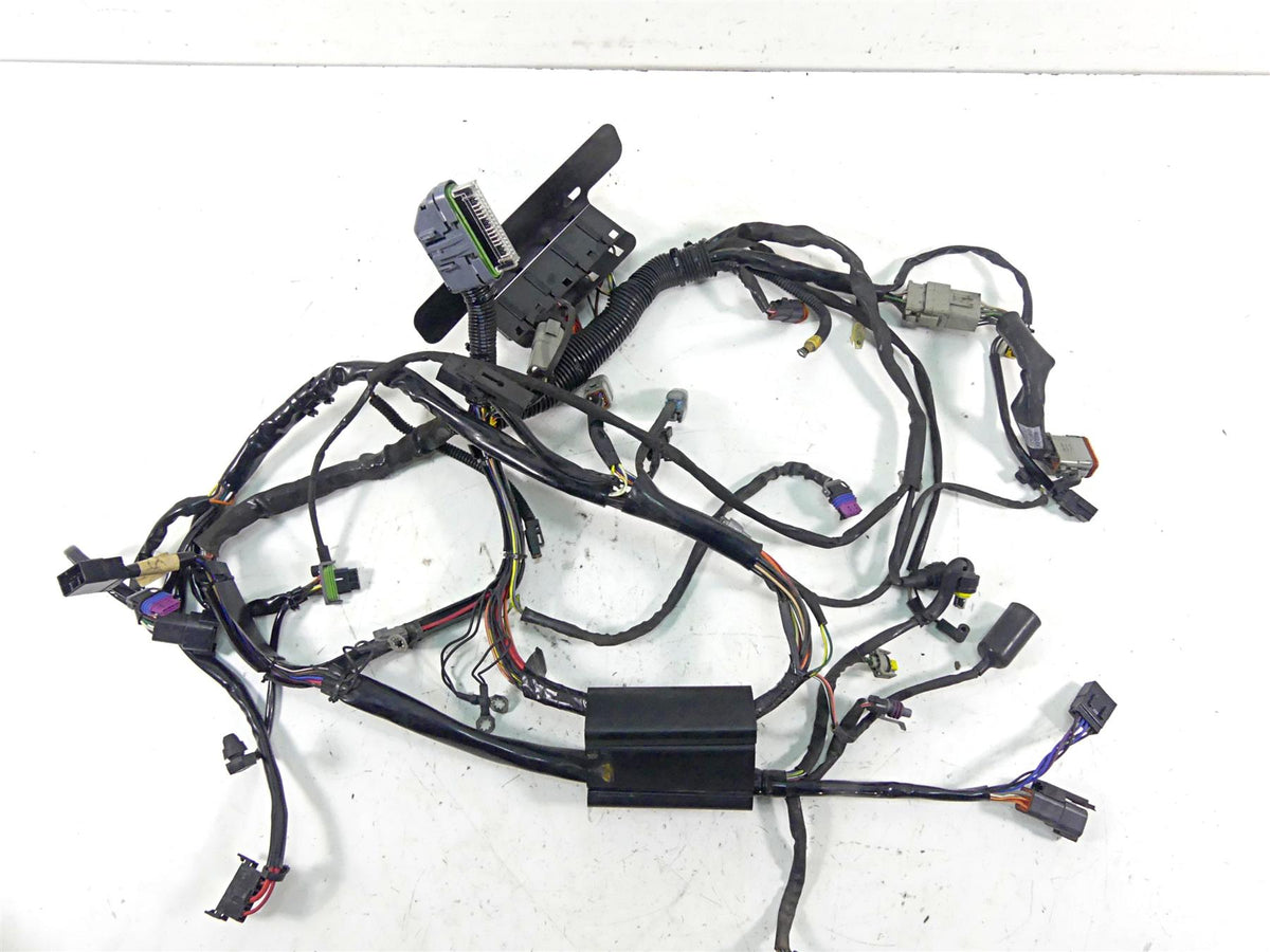 2006 Harley Softail FXSTSI Springer Efi Wiring Harness Loom - No Cuts 70431-06 {{ shop.shopifyCountryName }} - Mototech271