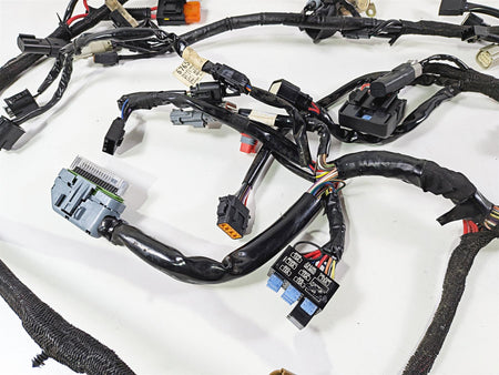 2013 Harley VRSCDX Night Rod Special ABS Main & Engine Wiring Harness Loom - No Cuts 69200093-Mototech271