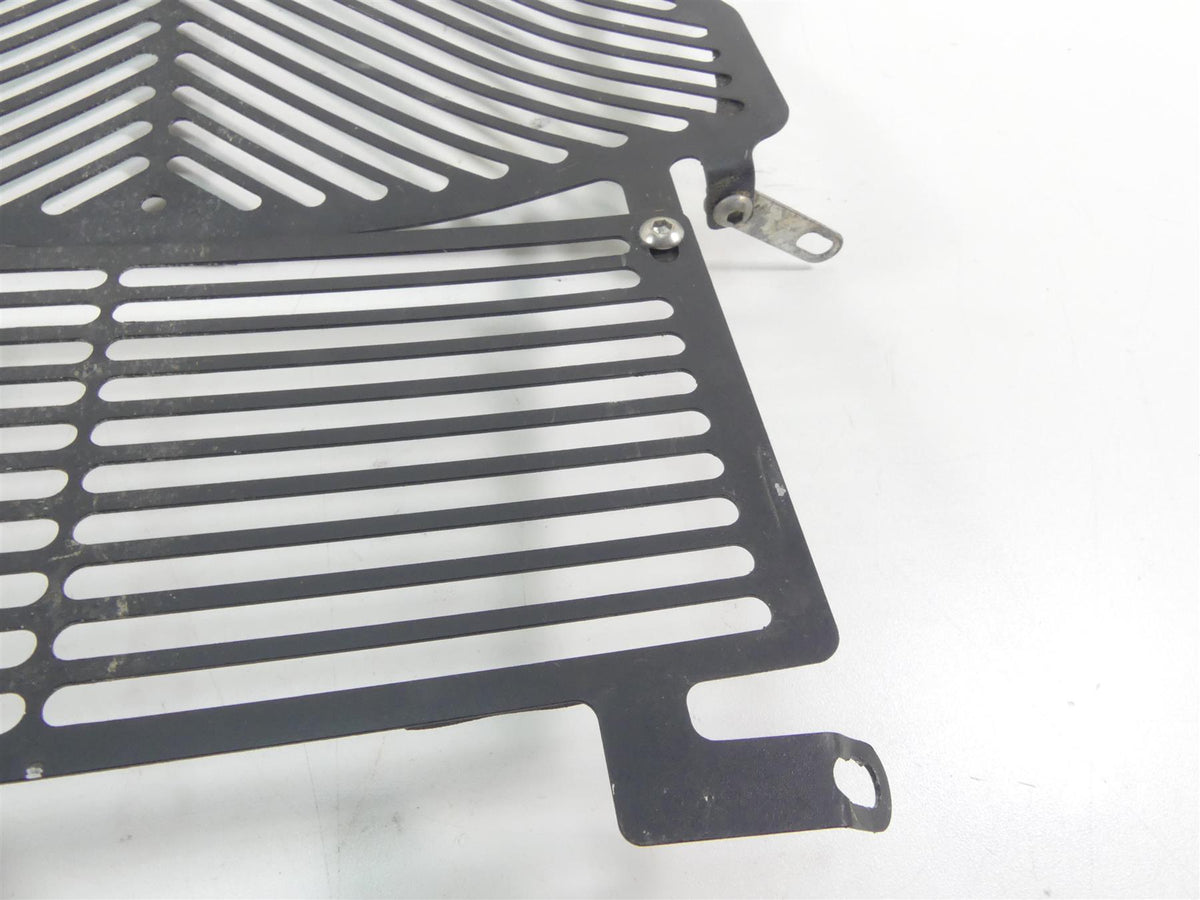2016 BMW S1000XR K49 Aftermarket Radiator Guard Grill Cover {{ shop.shopifyCountryName }} - Mototech271
