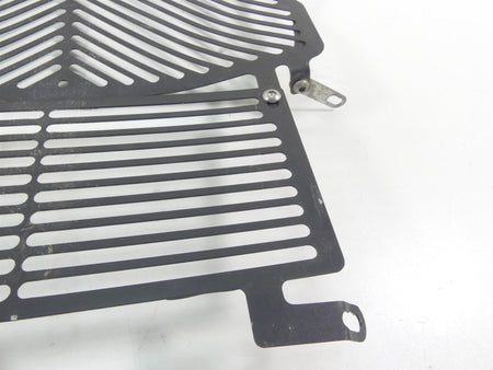 2016 BMW S1000XR K49 Aftermarket Radiator Guard Grill Cover {{ shop.shopifyCountryName }} - Mototech271