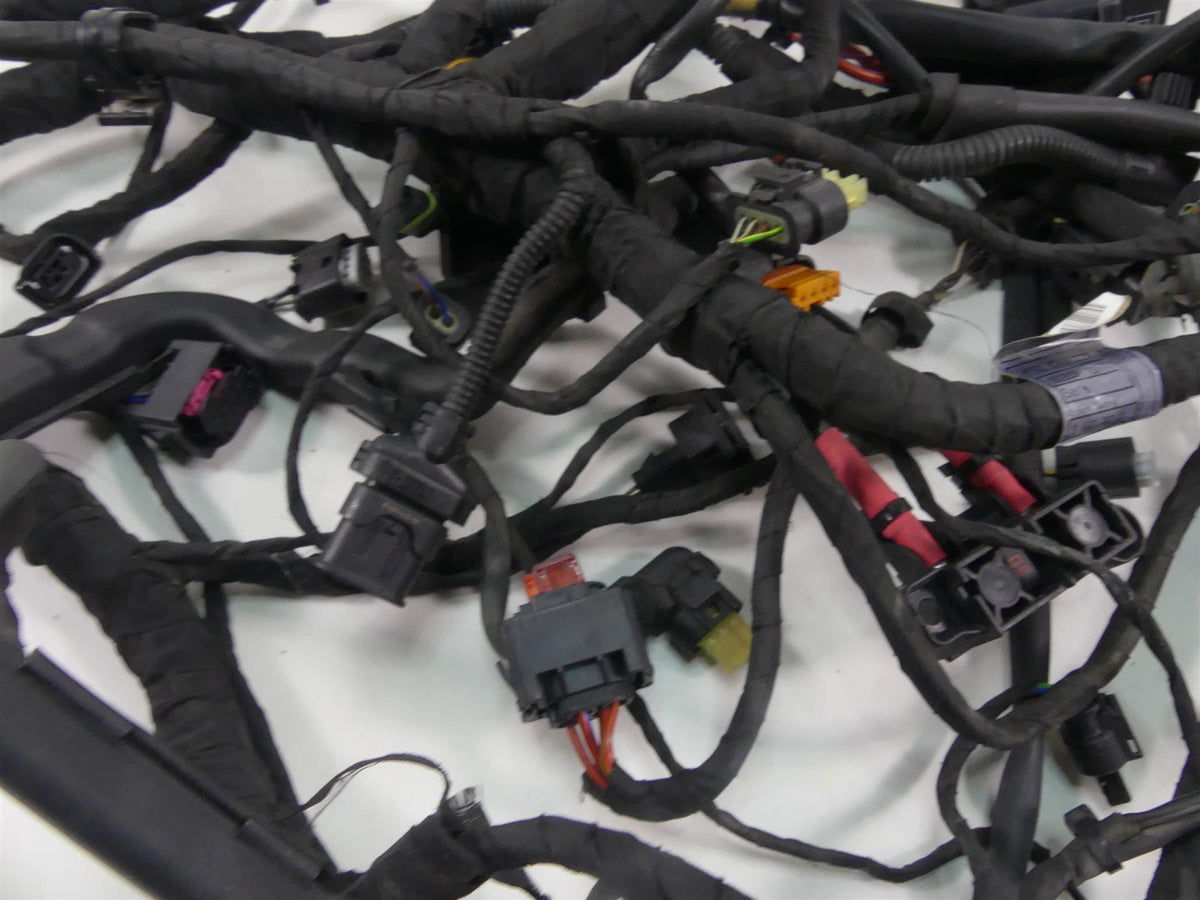 2019 BMW R1250GS K50 Main & Engine Wiring Harness Set - No Esa 61119480783 {{ shop.shopifyCountryName }} - Mototech271
