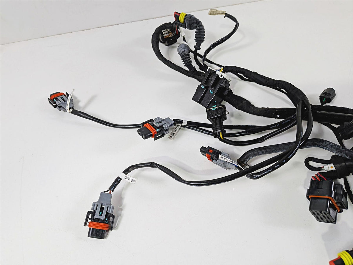 2019 Ducati 959 Panigale Main Wiring Harness Loom - No Cut 5101B071B {{ shop.shopifyCountryName }} - Mototech271
