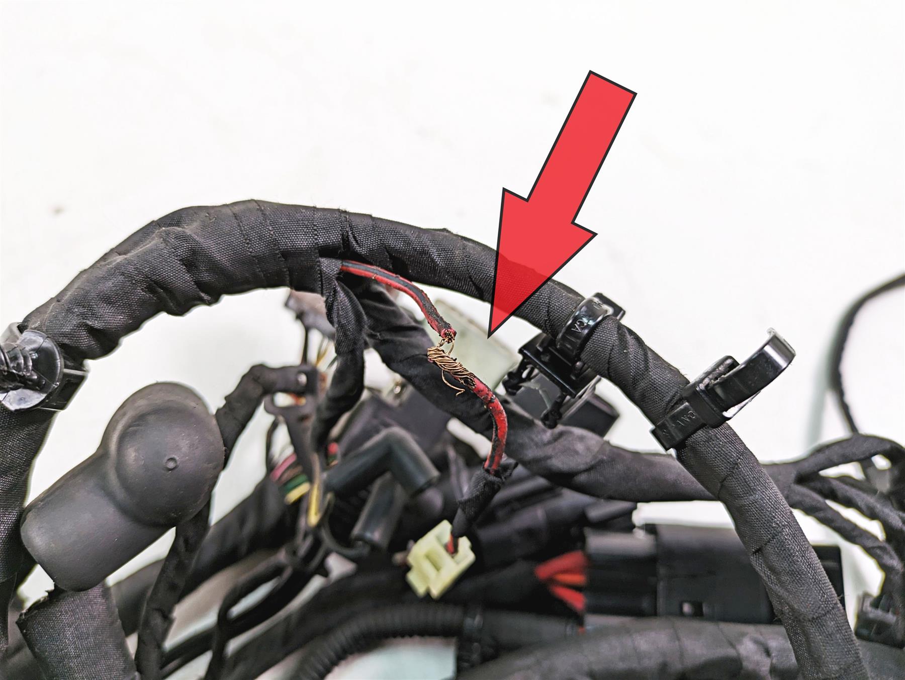 2020 Harley Softail FXBB Street Bob Main Wiring Harness No Abs - Read 69201492 {{ shop.shopifyCountryName }} - Mototech271
