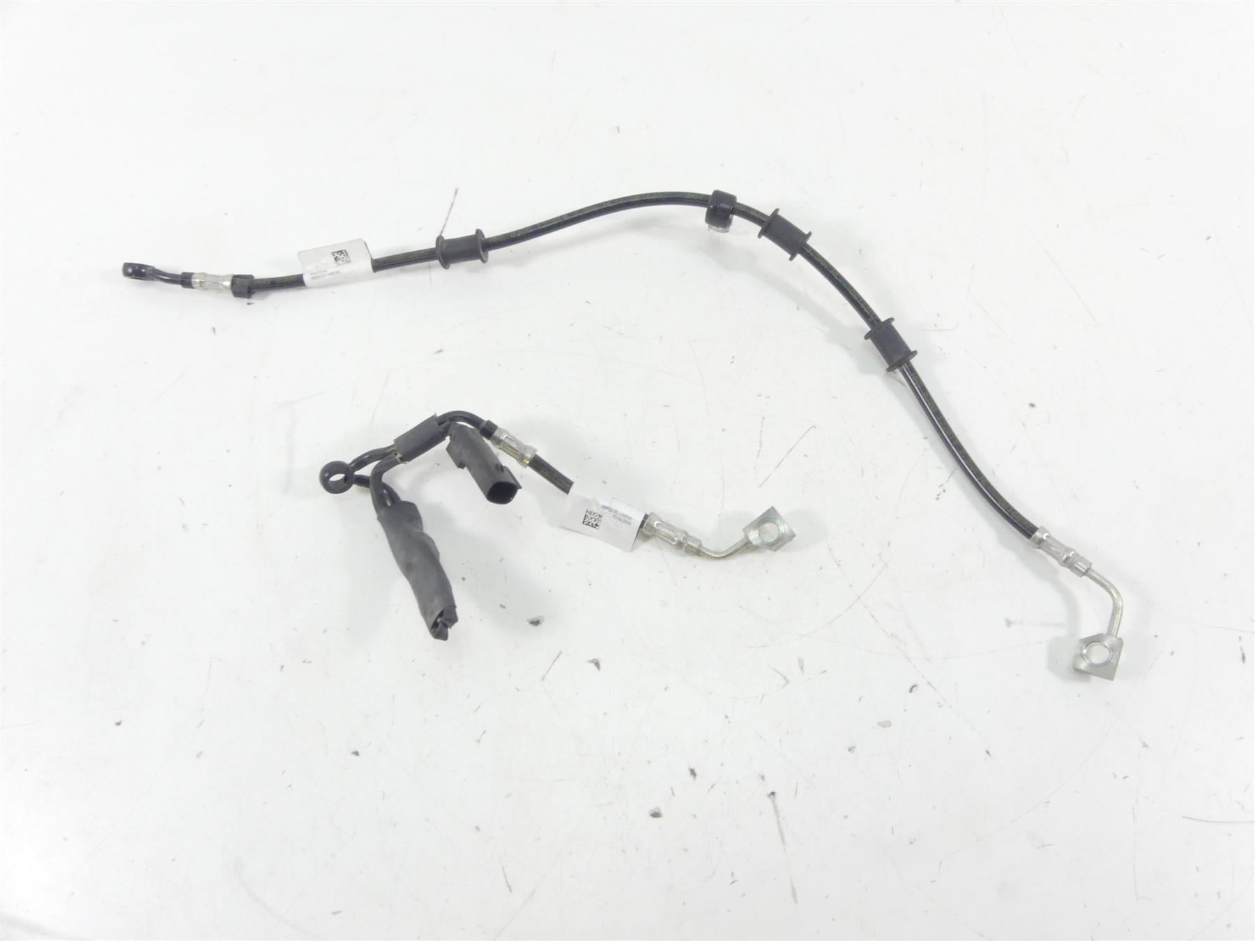 2020 Harley XL1200 CX Sportster Roadster Rear Abs Brake Line Set 41800165 | Mototech271