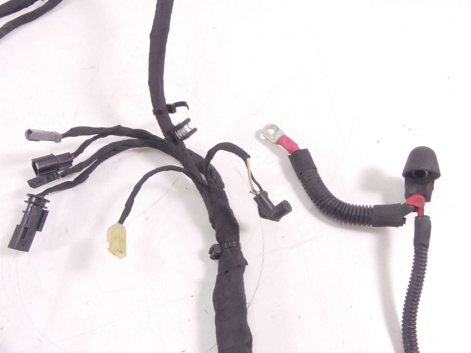 2019 Harley Softail FXBB Street Bob Main + Engine Wiring Harness - Read 69201493 {{ shop.shopifyCountryName }} - Mototech271