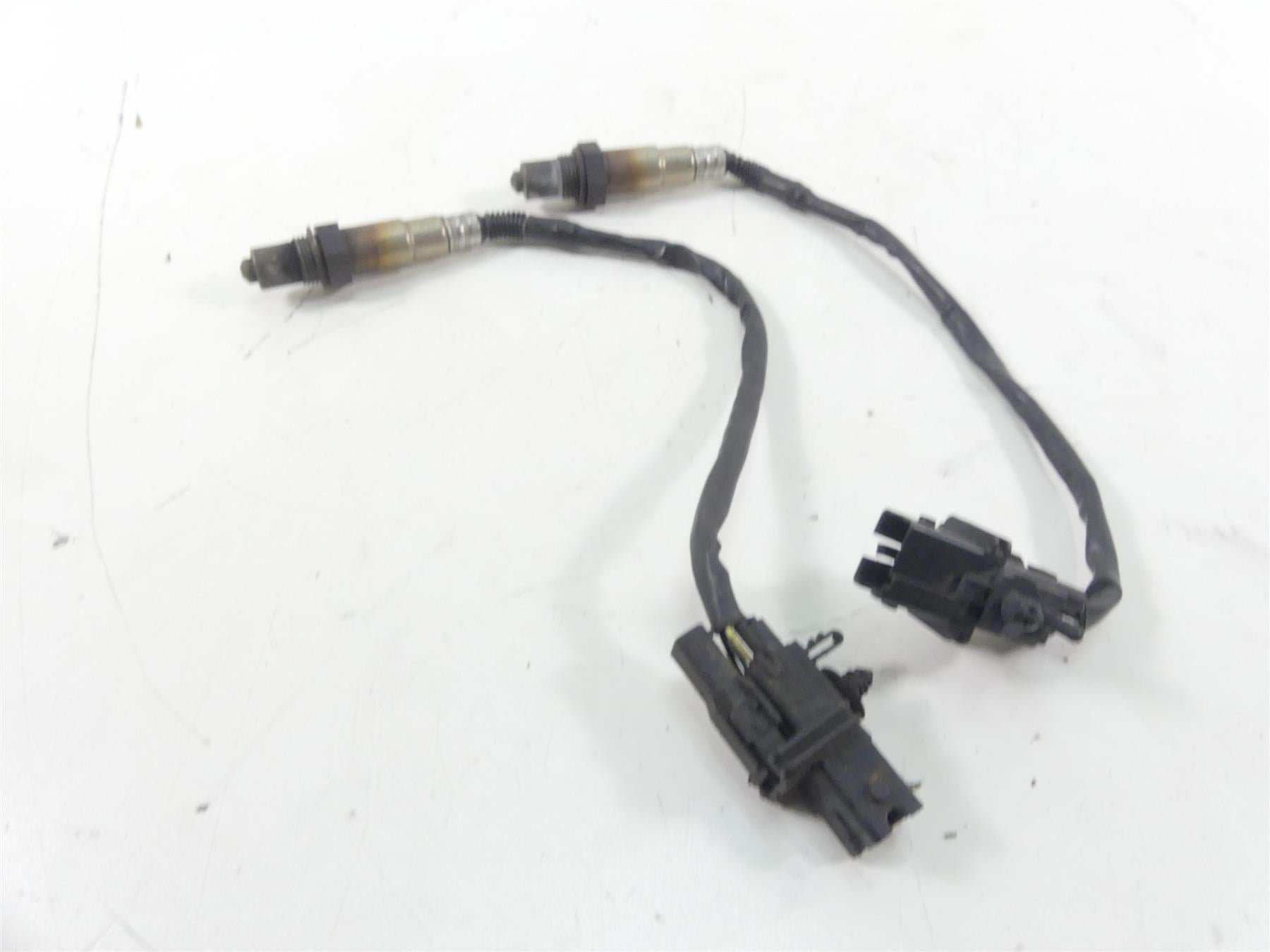 Harley Dyna Softail Touring 18mm Thundermax Wide Band O2 Oxygen Sensor 309-355 {{ shop.shopifyCountryName }} - Mototech271