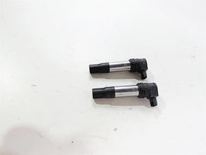 2015 BMW R1200 GS Adv K51 Ignition Coils Stick Coil Set 12138526677
