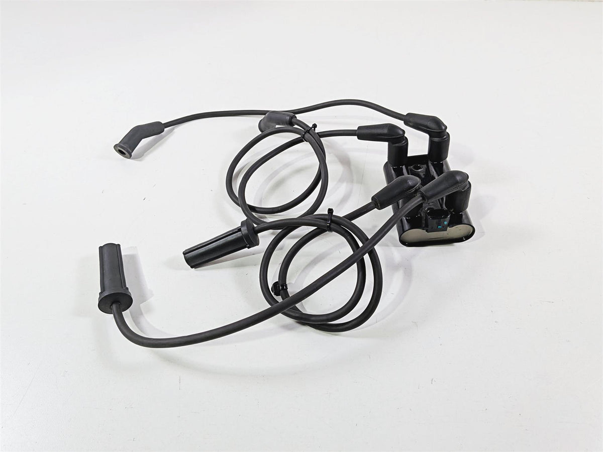 2018 Harley Touring FLHTCU Electra Glide Delphi Ignition Coil & Plugs 31600017-Mototech271