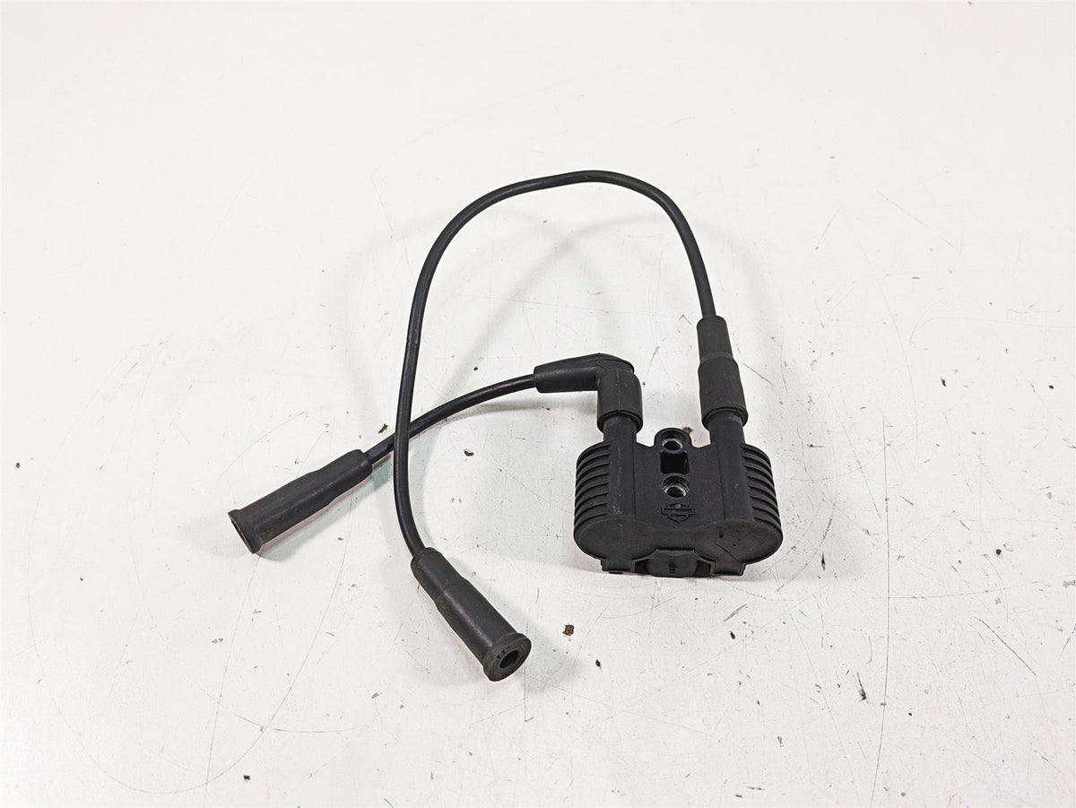 2019 Harley XL883N Sportster Iron Ignition Coil Wires & Plugs 31656-07 {{ shop.shopifyCountryName }} - Mototech271
