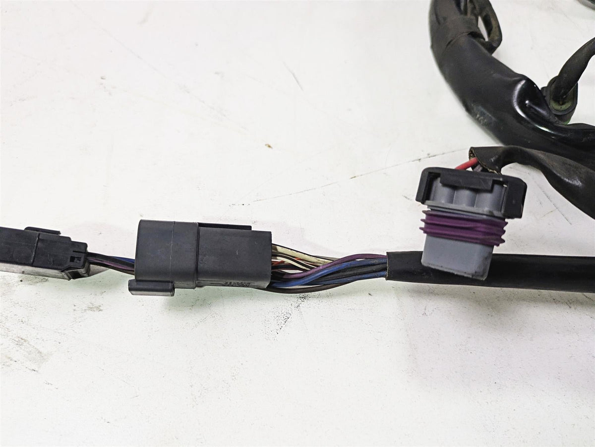 2004 Harley Softail FLSTF Fat Boy Main Wiring Harness Carb - No Cuts 70216-04A {{ shop.shopifyCountryName }} - Mototech271