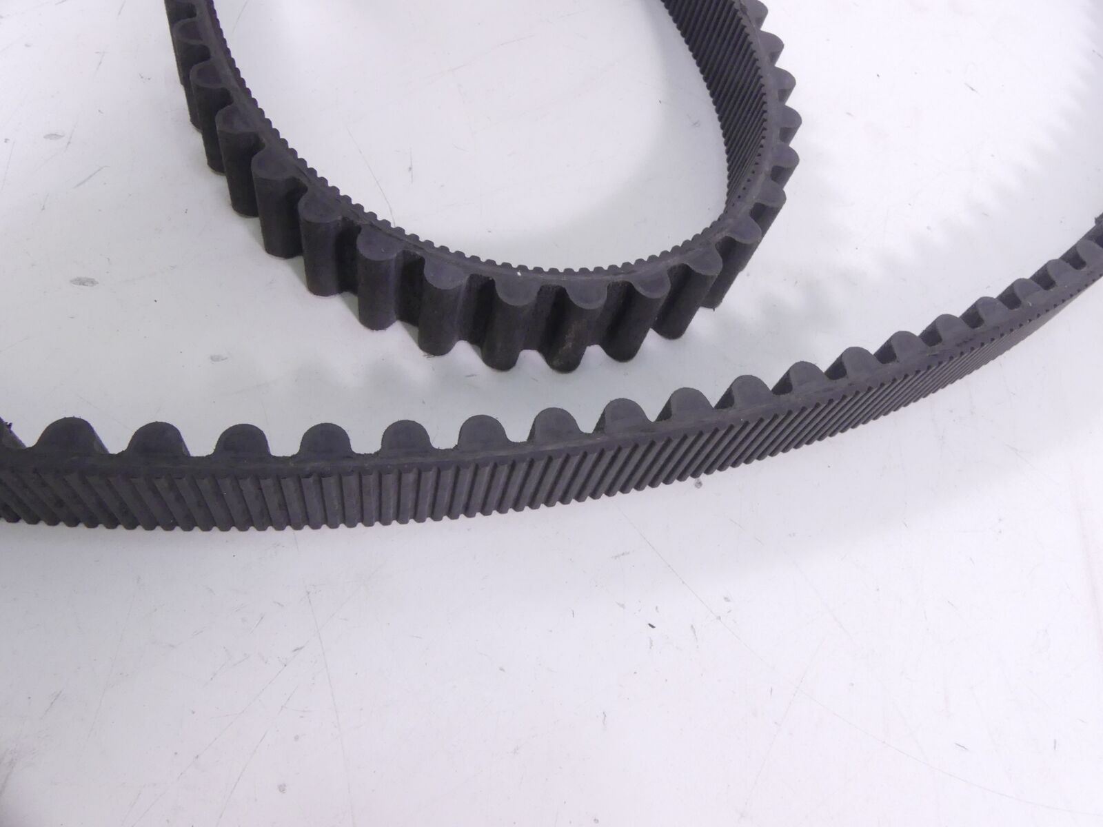 2009 Harley Sportster XR1200 Rear Drive Belt 137T 1" 40591-07 {{ shop.shopifyCountryName }} - Mototech271