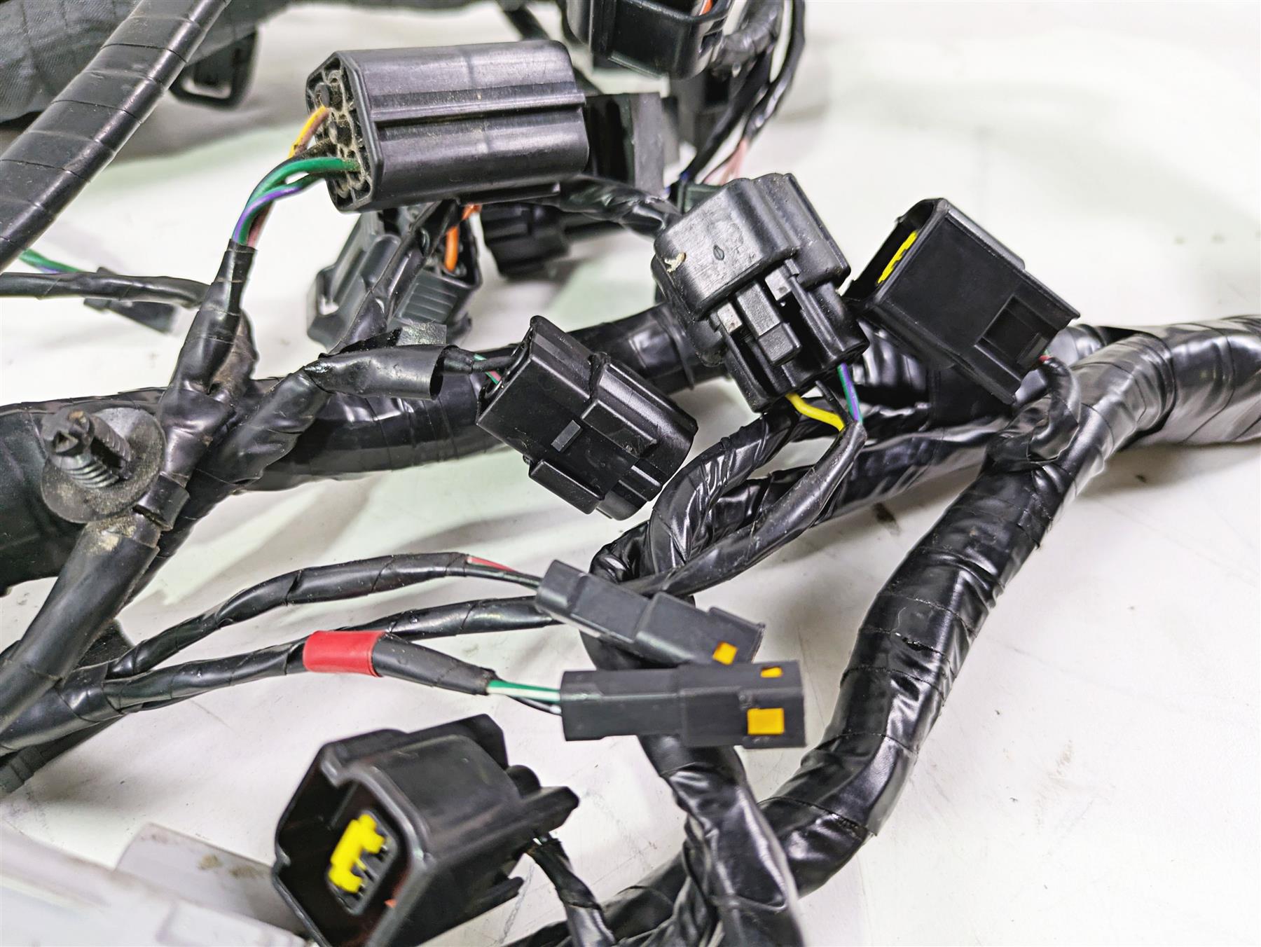 2013 Triumph Tiger 1215 Explorer Wiring Harness Loom - No Cuts T2501095 {{ shop.shopifyCountryName }} - Mototech271