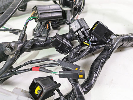 2013 Triumph Tiger 1215 Explorer Wiring Harness Loom - No Cuts T2501095 {{ shop.shopifyCountryName }} - Mototech271